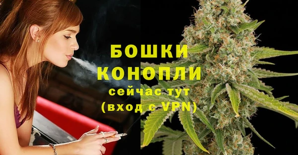 СК Аркадак