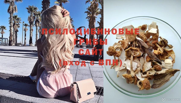 СК Аркадак