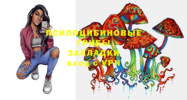 СК Аркадак
