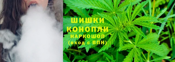 СК Аркадак